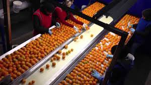 > </div>
<div class=